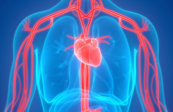 VISITE CHIRURGICHE PROCTOLOGICHE ECODOPPLER NUOVE DATE MARZO 2024