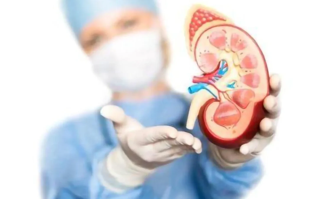 ULTIME DISPONIBILITÀ VISITA UROLOGICA 15 MAGGIO 2024