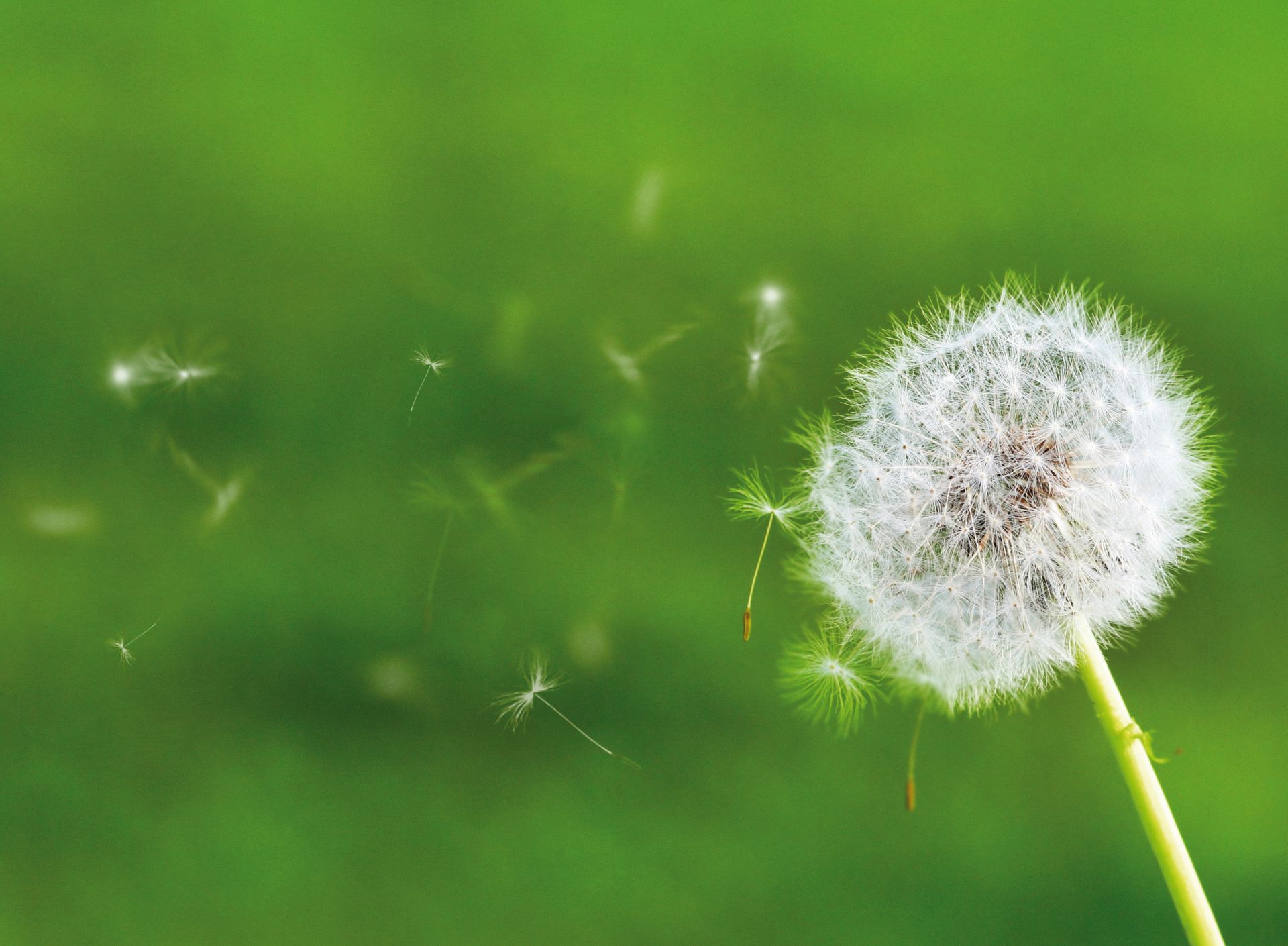 ULTIMA DATA PER VISITE ALLERGOLOGICHE 6 GIUGNO 2024 ULTIMA DATA PER VISITE ALLERGOLOGICHE 6 GIUGNO 2024