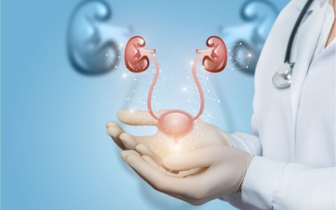 VISITE UROLOGICHE I MARTEDÌ DI APRILE 2026